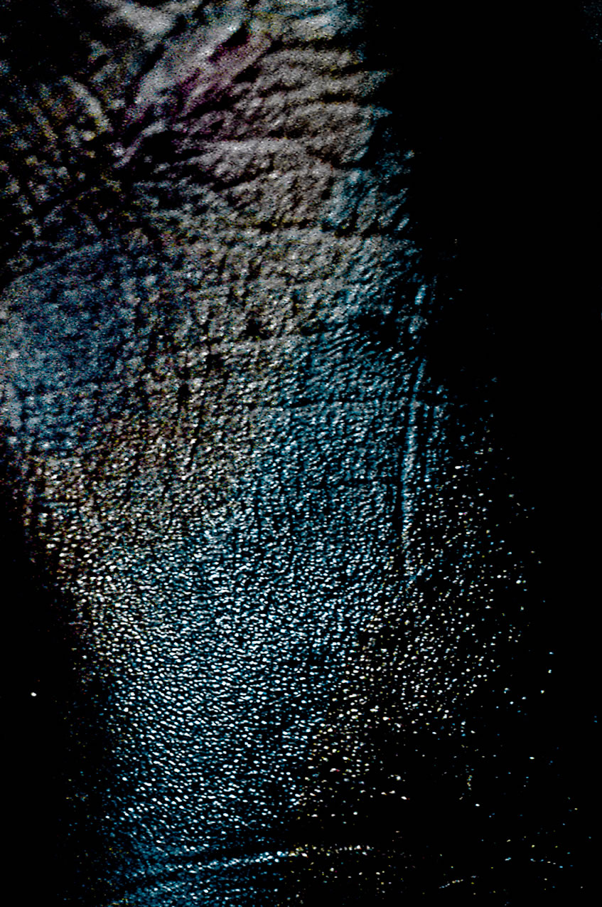 Images
